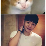 喵星娱乐吃瓜群众是谁,揭秘“吃瓜群众”背后的神秘力量