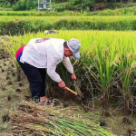 山村一亩三分地,探寻乡村生活的诗意与希望