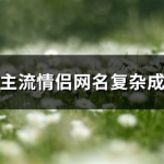 情侣网名 非主流,非主流情侣网名的潮流演变与情感表达