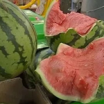 吃瓜15网,网络舆论场的新势力崛起
