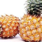 娱乐吃瓜小菠萝视频大全,盘点热门视频大全