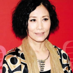 汪明荃个人资料,香港影视界传奇，多面才华与公益精神的完美结合