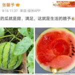 娱乐圈可以吃瓜,揭秘明星幕后故事，一起吃瓜！