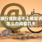 欠银行贷款还不上被起诉了怎么办拘留几天！判决生效10天内不还钱的咋办