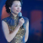 中国娱乐主持人,解码中国娱乐主持界的璀璨群英