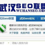 武汉seo