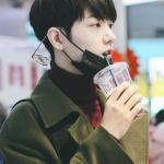 吃瓜娱乐圈肖战,娱乐圈的瓜田明星