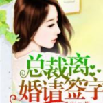 总裁离婚请签字,签署离婚协议，开启新生活篇章