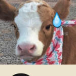 娱乐吃瓜的抖音号,抖音热门号“娱乐吃瓜”揭秘娱乐圈幕后故事